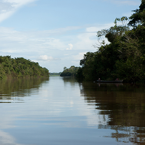 AMAZONAS 9 rio mosaico galeria_MG_4200.jpg